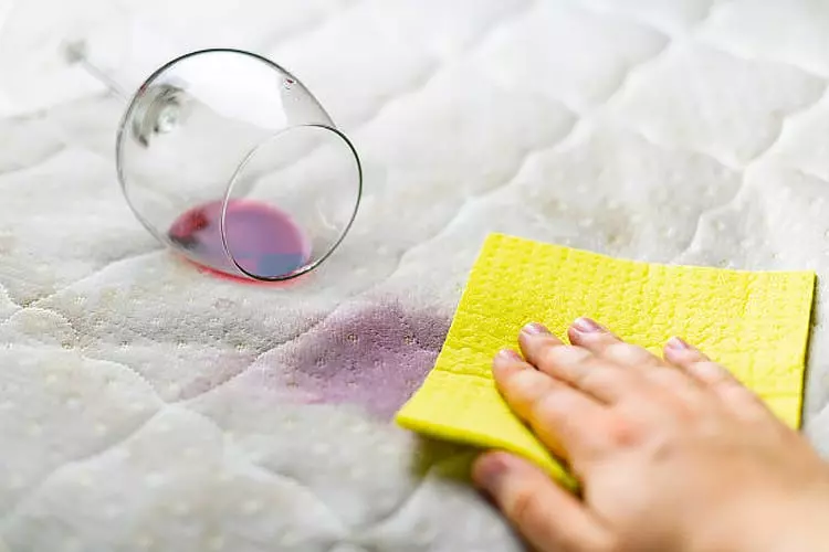 BiOHY Spezial Polsterreiniger (50x10l Kanister) | Ideal Für Autositze, Sofas, Matratzen Etc. | Ebenfalls Für Waschsauger Geeignet 9 BiOHY Spezial Polsterreiniger (50x10l Kanister) | Ideal Für Autositze, Sofas, Matratzen Etc. | Ebenfalls Für Waschsauger Geeignet – Bild 7