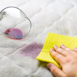 BiOHY Spezial Polsterreiniger (1l Flasche) | Ideal Für Autositze, Sofas, Matratzen Etc. | Ebenfalls Für Waschsauger Geeignet 15 BiOHY Spezial Polsterreiniger (1l Flasche) | Ideal Für Autositze, Sofas, Matratzen Etc. | Ebenfalls Für Waschsauger Geeignet -Biohy Verkäufe c2bf332b 86b0 4d45 8fc6 8501c8fe1603