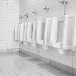 BiOHY WC-Reiniger (12x1l Flasche) | EXTRA STARK | Profi Bio Konzentrat | Dickflüssiges Reinigungs-Gel | Ideal Gegen Urinstein -Biohy Verkäufe df2390b2 42ed 4f70 95d8 057d9c2f50ed